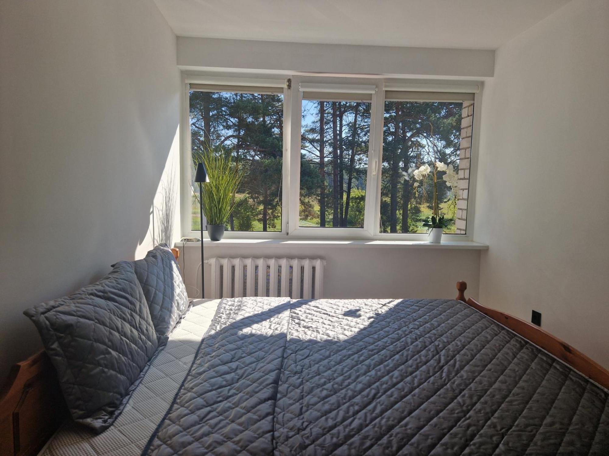 Duplex Apartment Vilte Druskininkai Kültér fotó