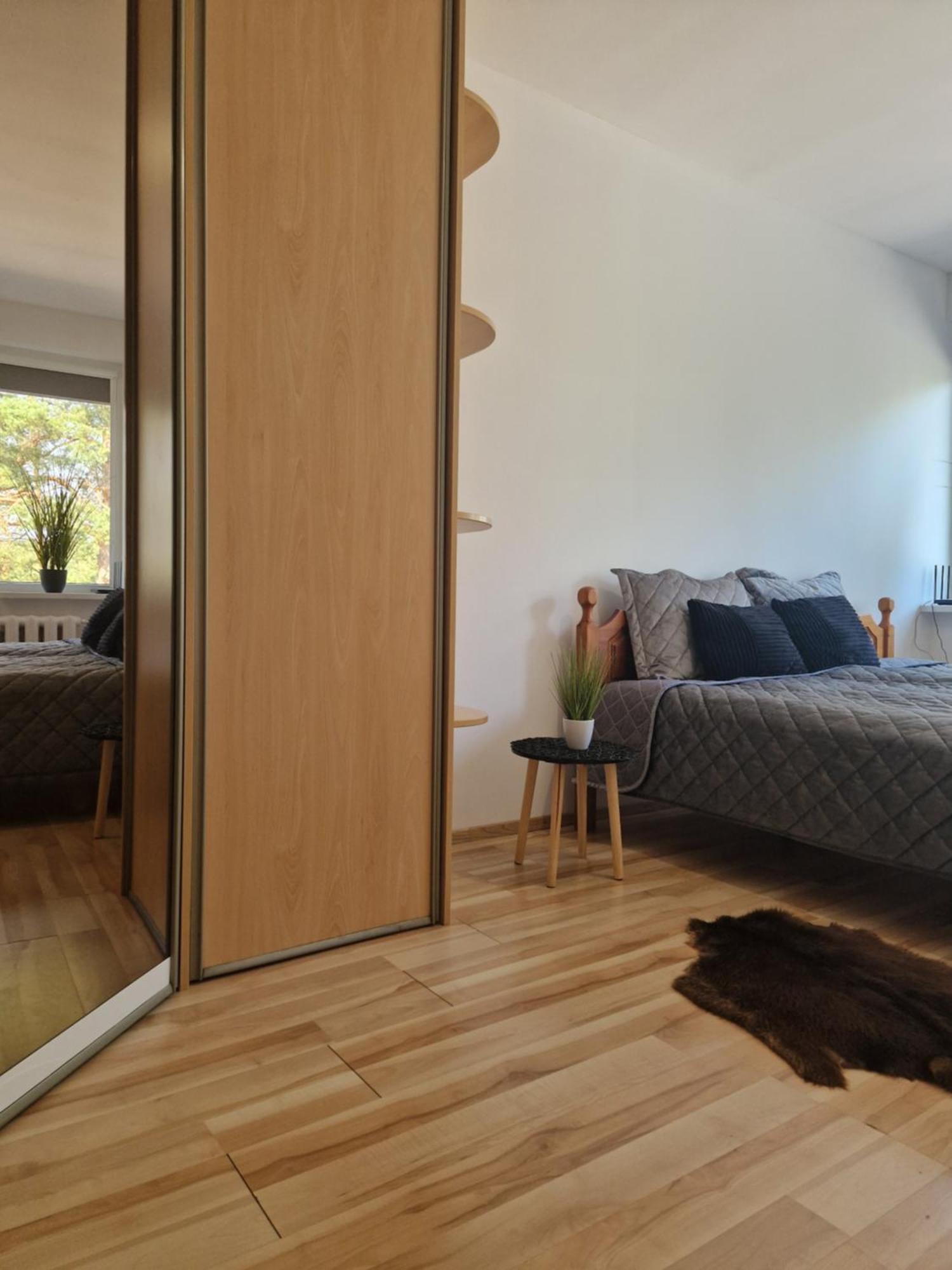 Duplex Apartment Vilte Druskininkai Kültér fotó