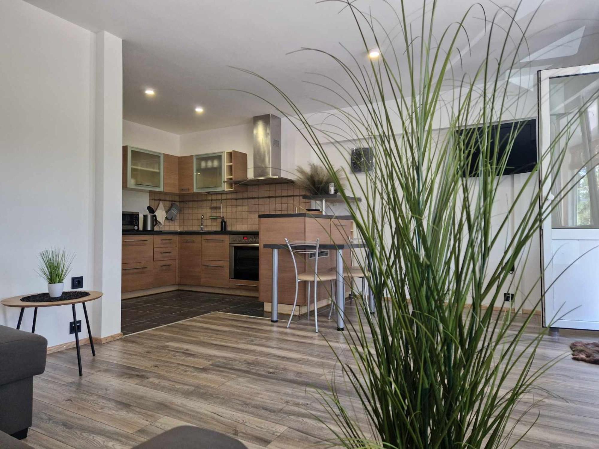 Duplex Apartment Vilte Druskininkai Kültér fotó