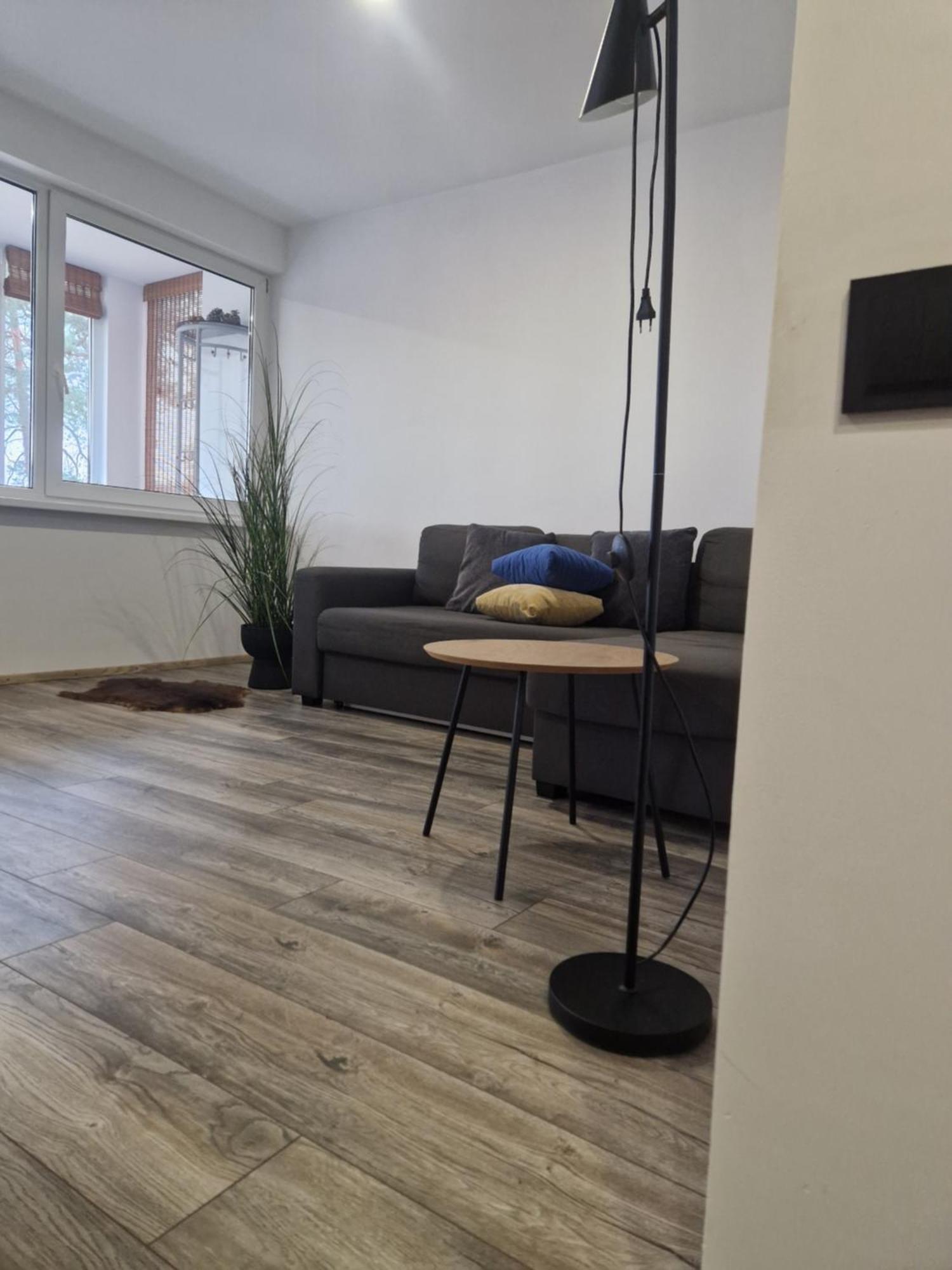 Duplex Apartment Vilte Druskininkai Kültér fotó