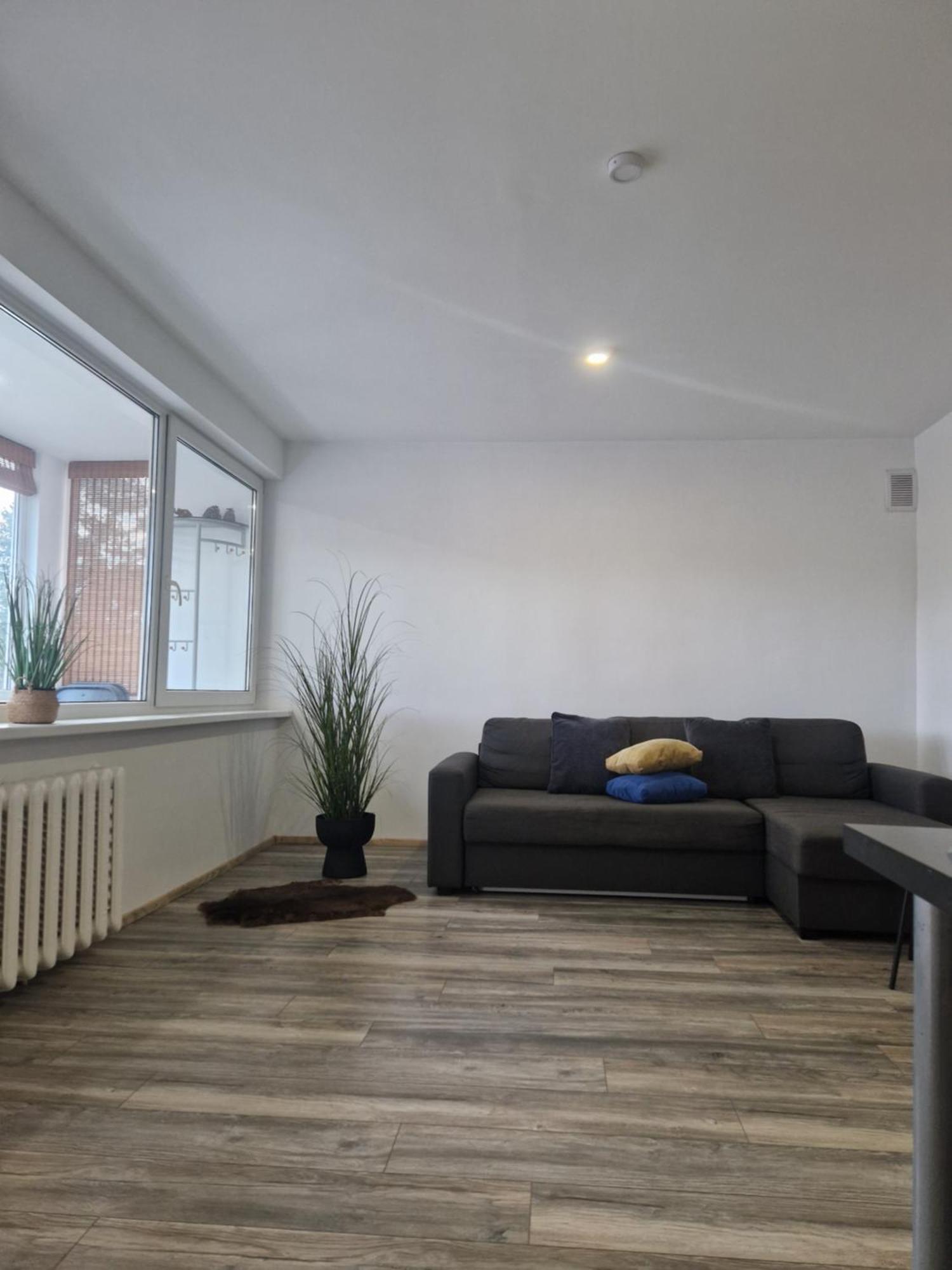 Duplex Apartment Vilte Druskininkai Kültér fotó
