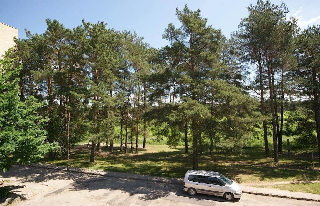 Duplex Apartment Vilte Druskininkai Kültér fotó